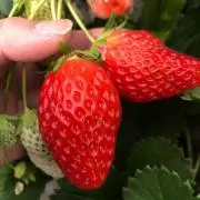 ☆2児まま☆