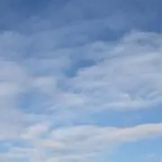 出品中、即購入可能の画像