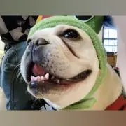 ☆TADASHI27☆の画像