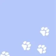 ma 即購入可能の画像