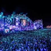 I.Y