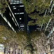 Aの画像