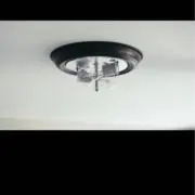 さしみの画像