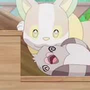 わんの画像