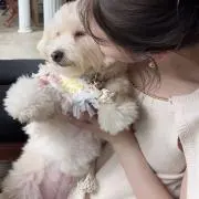 ゆ