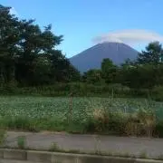 ty_sakuの画像