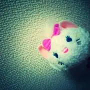 へむの画像