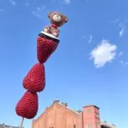 yuzukko-.-の画像