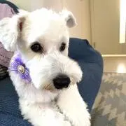 けいちゃん