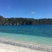 SKYの画像