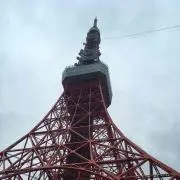 茂野