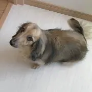 とも ☆プロフ必読☆