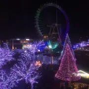 MIWAの画像