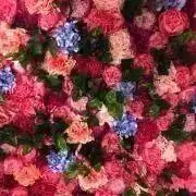 えま(^^)の画像