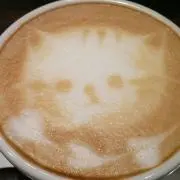 ちょこみんと