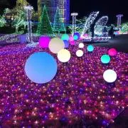 SACHI⭐️の画像