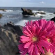 M & Cの画像