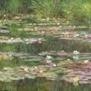 Rの画像