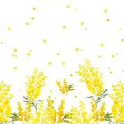 Azusaの画像