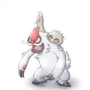 イカ