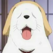 だいーざ