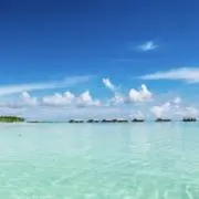 Oceanの画像