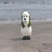 らん