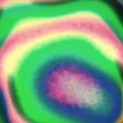 龜