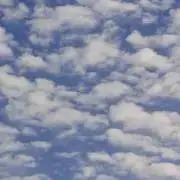 wind［プロフ確認お願いします］の画像