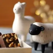 はーちゃんの画像