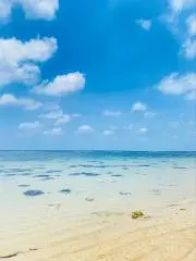 yuの画像