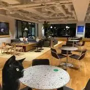 くろねこ。の画像