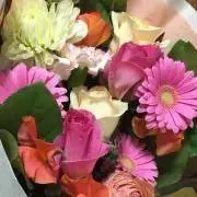 めい★ ※プロフ必読の画像