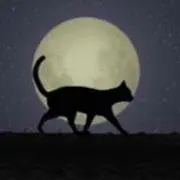 キムラ