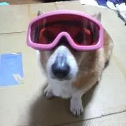 きよんチャン
