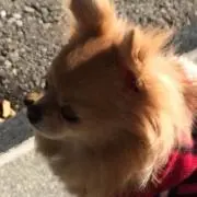 ひじり☆の画像
