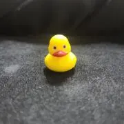 ひよこの画像