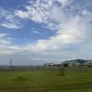 ココの画像