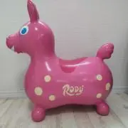 RoDyの画像