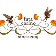 fatacarinoの画像