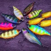 バス釣り