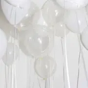 m.s プロフ必読してくださいの画像