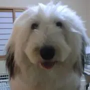 サンク５