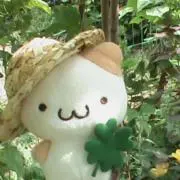 masiの画像