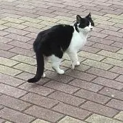 りの画像