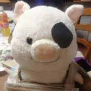 ぶーた