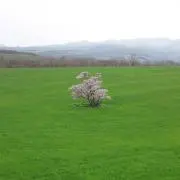 ニコニコくんの画像