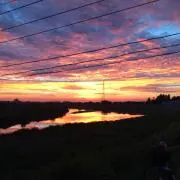 mono