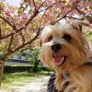 まあさん（プロフィール必ずお読み下さい）の画像