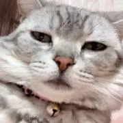 なべの画像
